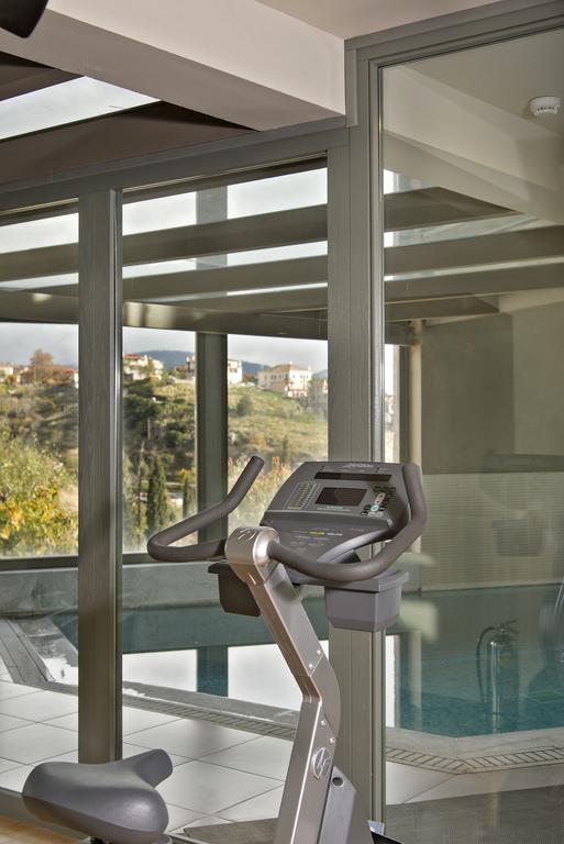 Aegli Arachova Hotel Eksteriør billede